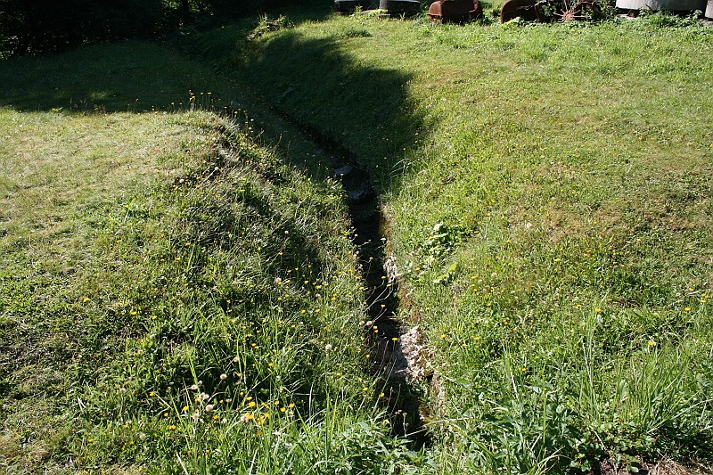 Original image